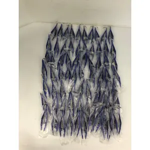 Mediqu IN100956 Blue Disposable Tweezers - Lot of 72