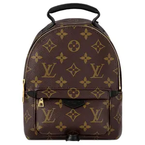 Louis Vuitton Palm Springs Classic Monogram Coated Canvas and Leather Trim Mini Backpack for Women in Brown