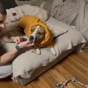 Spark Paws Breatheshield Dog Raincoat - Waterproof Windproof Rain Jacket, for Small Medium Large Extra Large Dogs, Reflective Full-Body Coverage Dry Suit