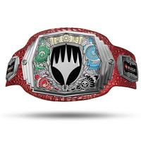 Alligator Skin Leather / Silver Metal