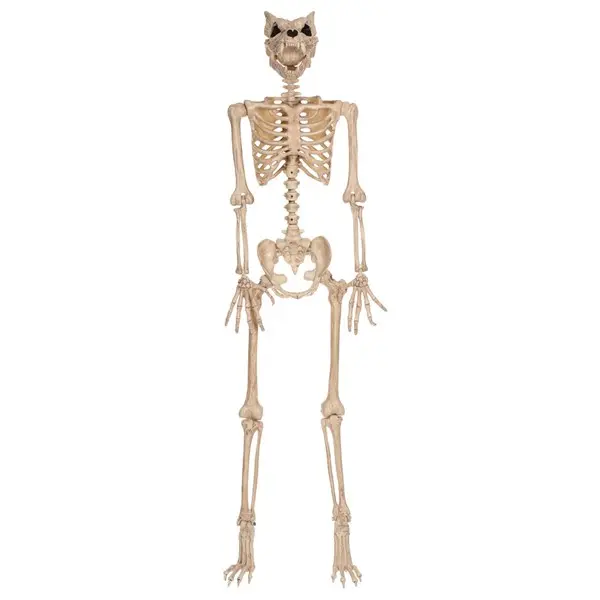 64'' Pose-N-Stay Werewolf Skeleton Prop