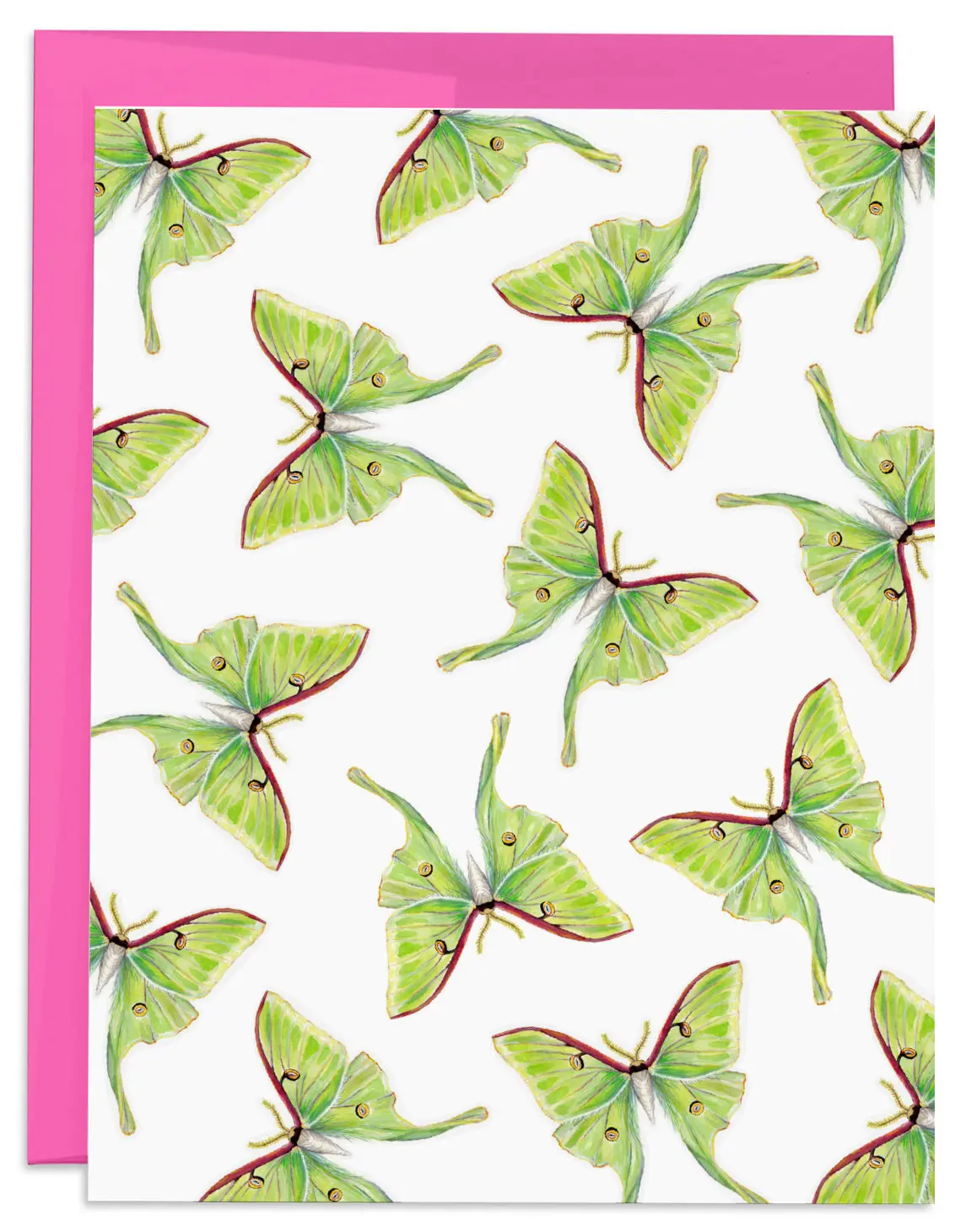 Luna Moth Blank Card