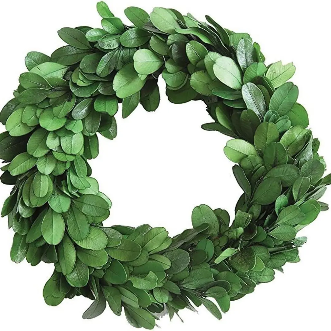 Preserved Boxwood Wreath for The Front Door Décor, 1 Pack