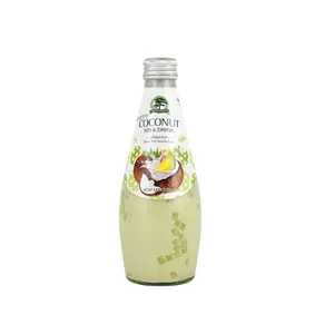 EVERGREEN Coconut Milk Drink with Nata De Coco Melon Flavor 9.8oz
