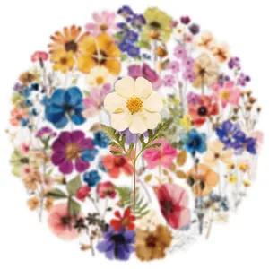 50pcs Transparent Embossed Plant Stickers DIY Decals for Luggage Laptop Phone Guitar Scrapbook - Assorted Plant Material