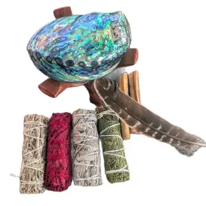 Australian Large Colored Abalone Shells and Palo Santo Dragon's Blood Sage, White Sage, Rosemary, Cedarwood Space Set for Purification and Abundance - Freshener, Fragrance