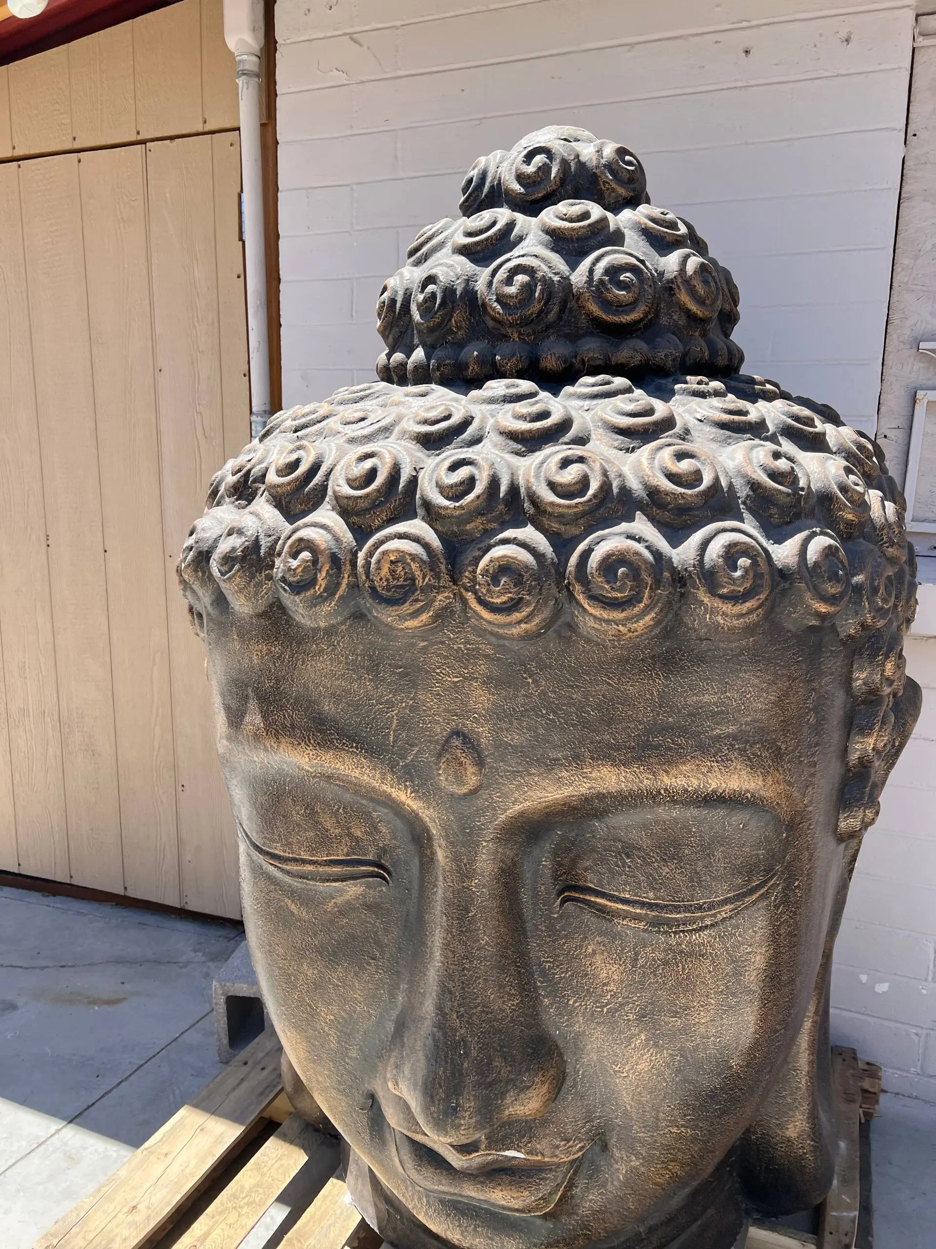 Buddha Large Head
