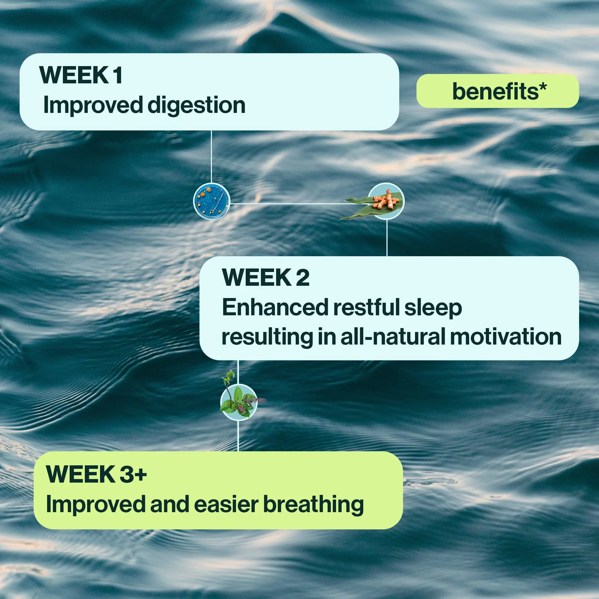 resB® Gut Lung Support Probiotic