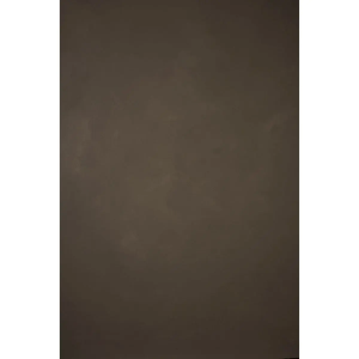 Gravity Backdrops Hand Painted Classic Collection Canvas Low Texture Camera Backdrop, 8.9x13ft, Warm Gray, Acrylic Duck Luminous Camera Accessories, Photography