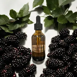 🍇 Mulberry Fragrance Oil ✨