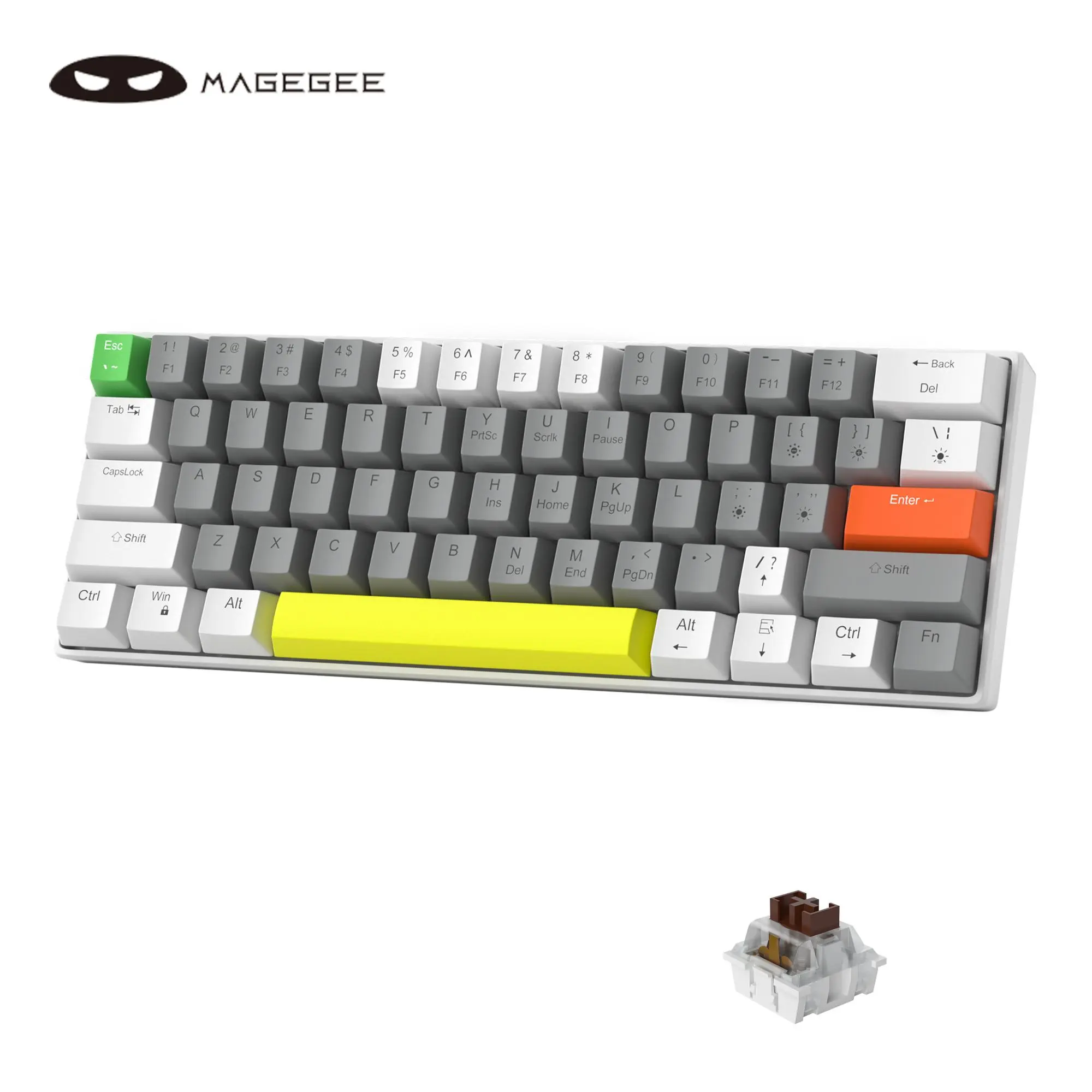 White Gray-Brown Switch