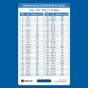 Maintenance IV Fluid Rate