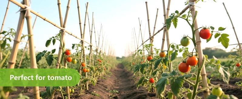 2FT-6FT Natural Bamboo Plant Stakes, Garden Support for Tomatoes & Flowers
