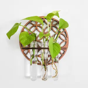 Round Wall Propagation Station - 3 Test Tube Holder