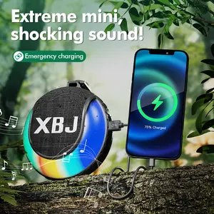 Mini Bluetooth outdoor speaker with colorful ambient lighting, emergency charging, portable charger, IPX7 waterproof, and hands-free calling. USB/Type-C charging, wireless stereo sound, perfect for the beach, shower, and home. A great Christmas gift.