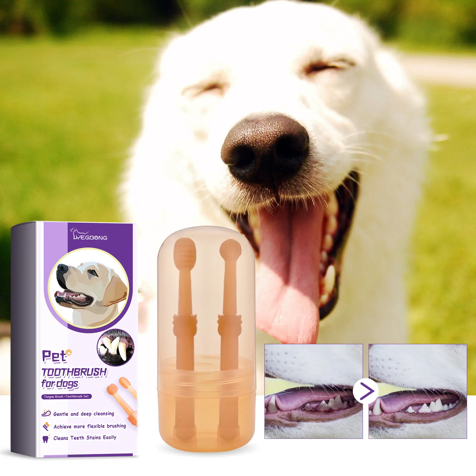Pet Tongue Brush Toothbrush Set Pet Oral Cleansing Teeth Stains Tartar Oral Health Care Toothbrush Suitable for Cats and Dogs