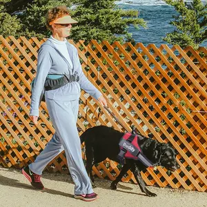 PawsToClaws No-Pull Customizable Reflective Adjustable Dog Harness