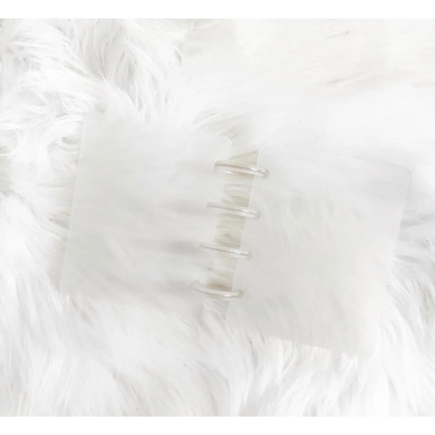 Planner Discs | Frosted Transparent