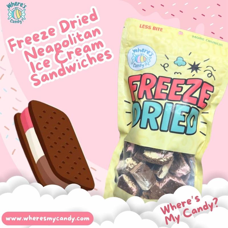 Freeze Dried NEAPOLITAN Ice Cream Sandwich Bites - TikTok Viral - Crunchy Ice Cream - Astronaut Candy