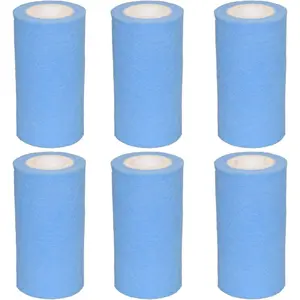 A or C Long Lasting Meltblown  Filter Replacement Type iii  Filter Compatible with Intex 29000E/59900E Easy Set, Summer Escapes, Type A/C,Pack of 6,  Made