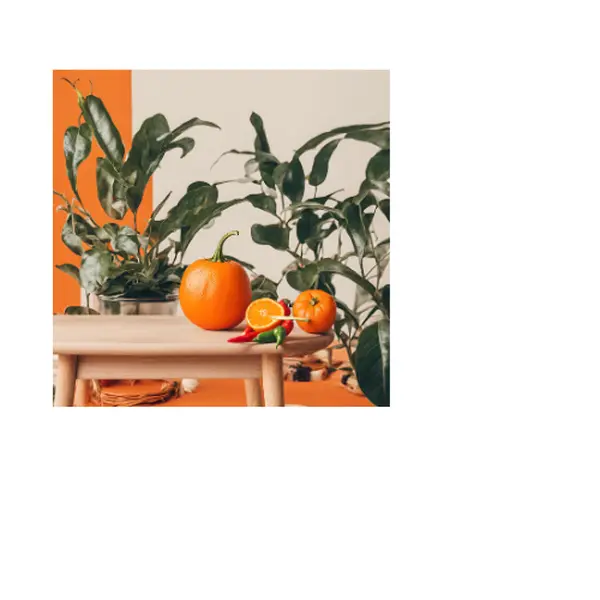 Orange Zing Candle Oil