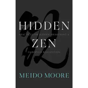 USED-Hidden Zen: Practices for Sudden Awakening and Embodied Realization by Moore, Meido (Paperback)