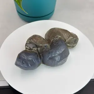 UV Volcano Agate Snake