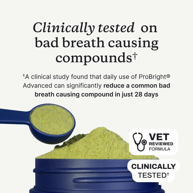 ProBright Advanced Dental Powder - Helps Reduce Bad Breath, Clean Teeth and Target Tartar Buildup. Backed by Two Clinical Studies