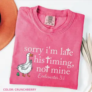 Sorry I’m Late Bible Verse Shirt, Comfort Colors Christianity Tee, Ecclesiastes 3:1 Church Shirt, Minimalist Silly Goose T-Shirt, Christian Humor Tee