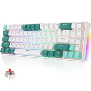 RK71 Mechanical Gaming Keyboard, 71-Key 70% Layout TKL Compact Wireless Keyboard, BT5.0/2.4GHz/Wire Connect, RGB Backlit Gamer Keyboard, Programmable Macro, Hot Swappable Red Switch