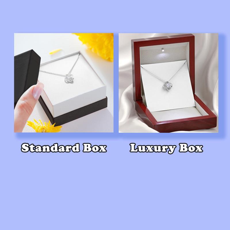 Valentine's Day Gifts for Twins Necklace, Gift for Sister, Birthday for Twin Sister, Best Friend Gift, Twin Sister Jewelry, Sister Gift, Interlocking Hearts Necklace You will always be. Necklace Jewelry With Meaningful Messages Card & Box