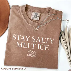 Comfort Colors No ICE T Shirt, Stay Salty Melt ICE Graphic Tee, Pro Immigration Abolish ICE Shirt, Anti ICE Political T Shirt, Social Justice Feminist Activism Top