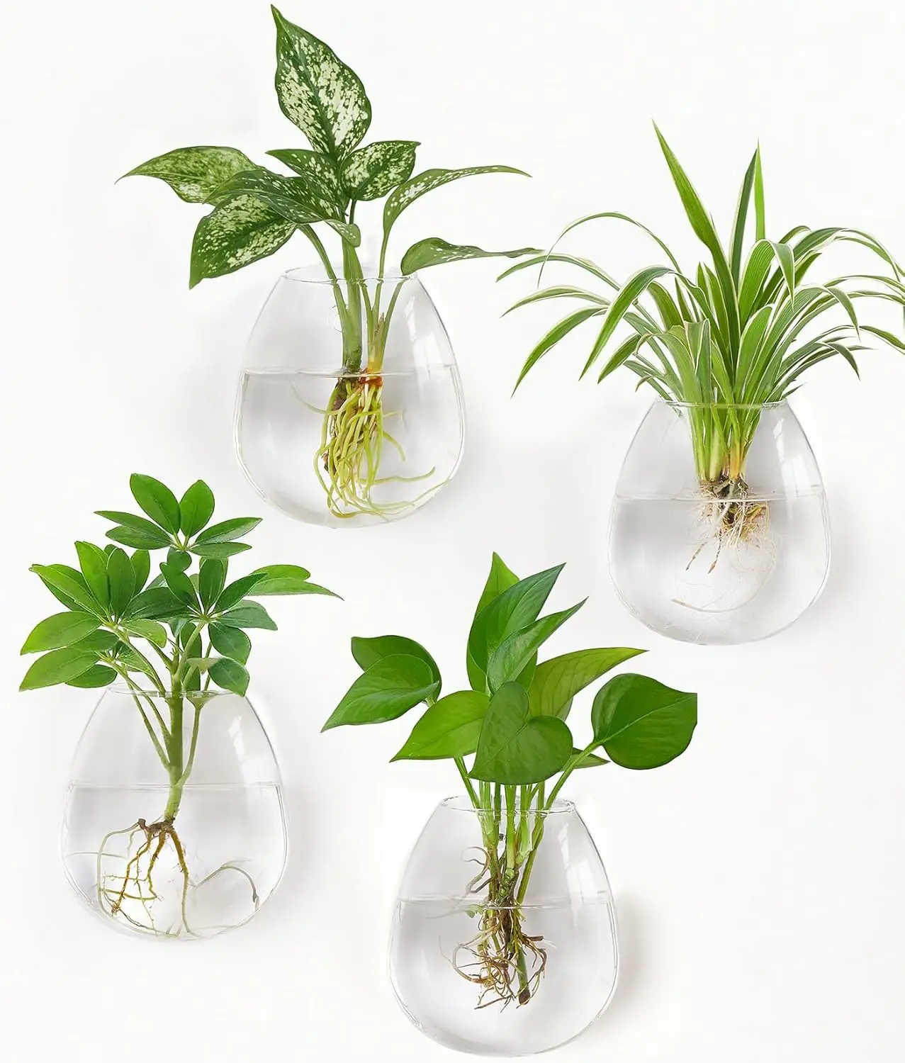 Propagation Stations Wall Hanging Planters Glass Wall Mounted Vases Oblate Terrarium  Hydroponics Indoor  Home Bathroom Office Decor 4 Pack