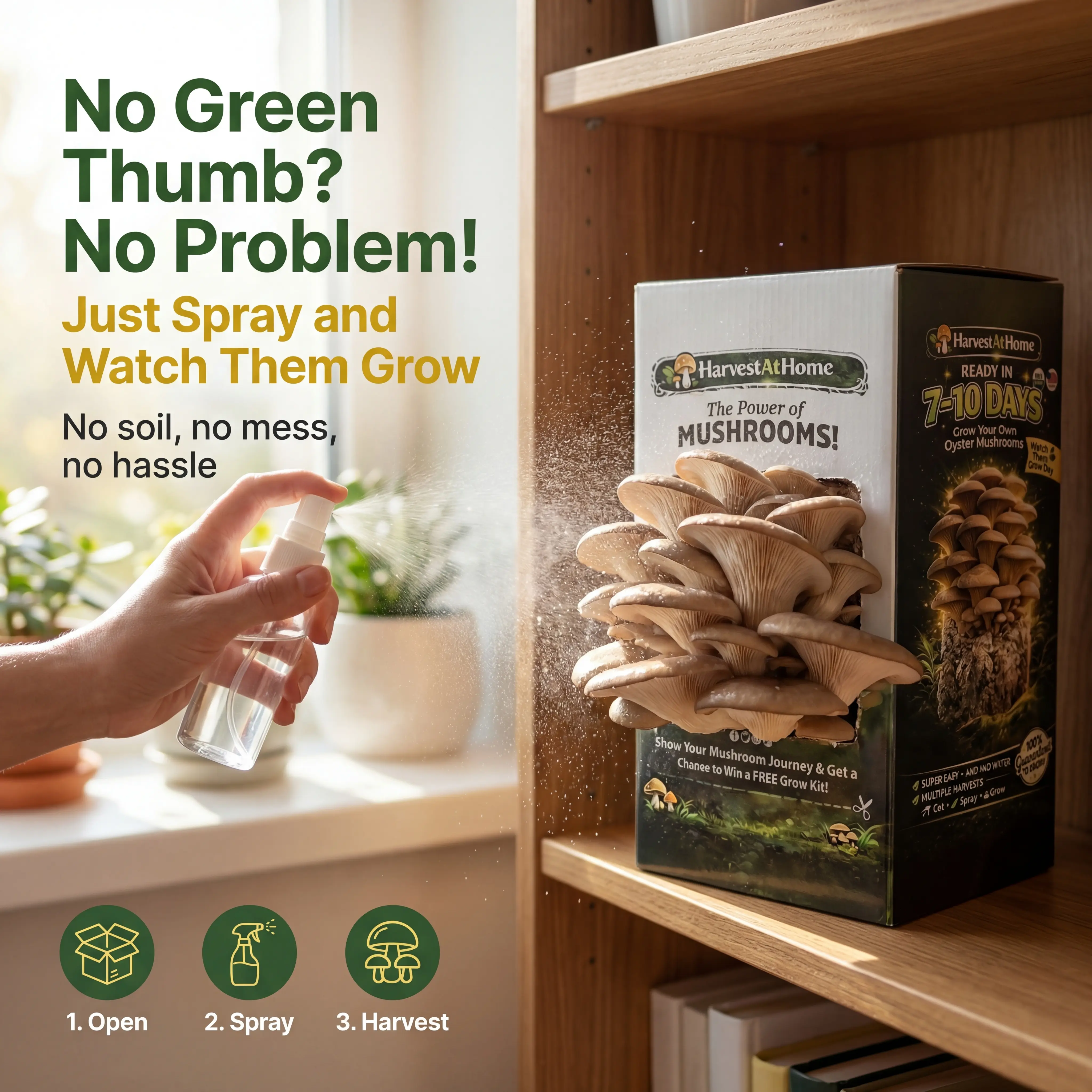 【2026 New】Organic Non-GMO Oyster Mushroom Grow Kit, 3.5 lb – Easy Indoor Growing Kit for Fresh Gourmet Mushrooms, Fast 1–7 Day Growth, No Soil or Direct Sunlight Needed, Multiple Harvests, Made in USA