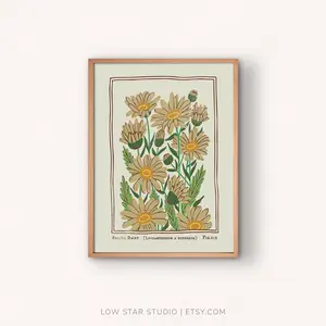Shasta Daisy Fig Vintage Style Flower Poster Print Unframed, Room Decor