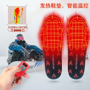 USB Heated Insoles with LED Remote Temperature Control
