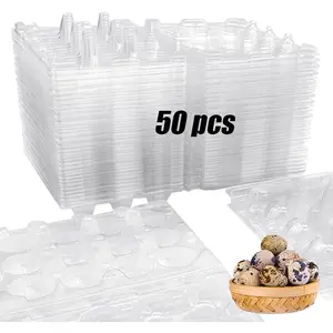 50 Pcs 12 Grids Quail Egg Cartons Small Egg Storage Holders Bulk Trays for Quail Pheasant Pigeon Small Eggs