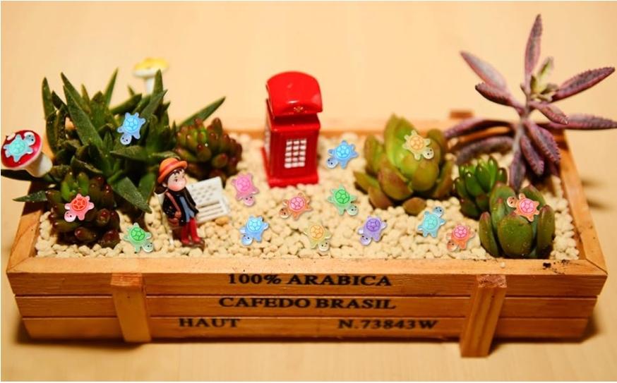 200 Pcs Mini Resin Turtles Glow in the Dark, Tiny Sea Turtle Animals to Hide Small Luminous Figures Miniature Plastic Ocean Animal for Fairy Garden Micro Landscaping Dollhouse Home Decor Crafts 200 Pcs Mini Resin Turtles Glow in the Dark, Tiny Sea Turtle Animals to Hide Small Luminous Figures Miniature Plastic Ocean Animal for Fairy Garden Micro Landscaping Dollhouse Home Decor Crafts