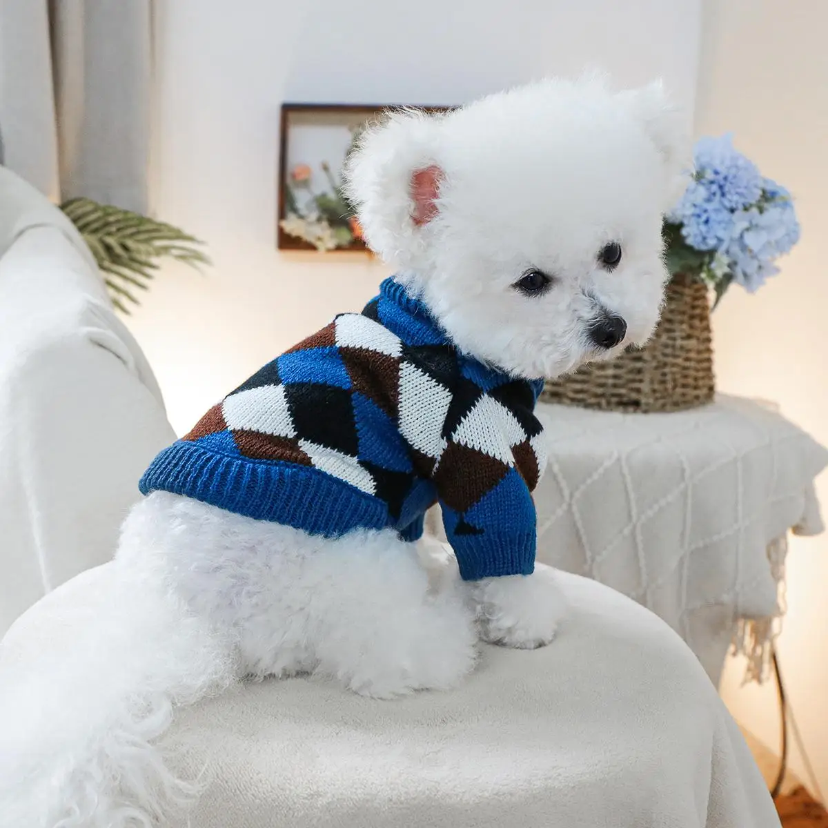 Argyle Pattern Pet Sweater, Casual Two-leg Knitwear for Small Dogs, Warm Dog Clothes for Fall & Winter, Pet Clothing Supplies