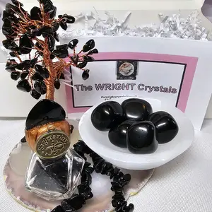 The WRIGHT Sagittarius Crystal Set