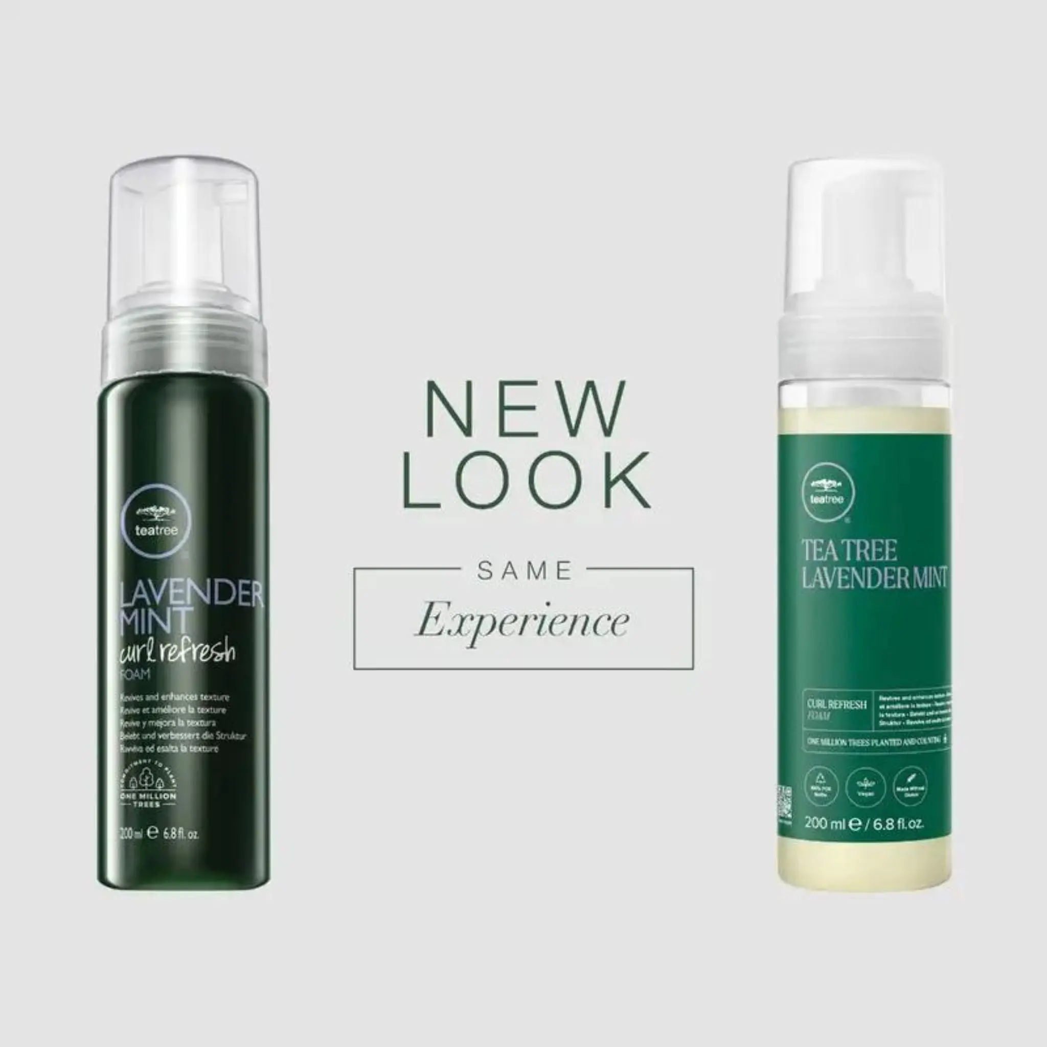 Paul Mitchell Lavender Mint Curl Refresh Foam - Unisex Haircare Mousse, Tea Tree Styling Product for Coarse & Normal Dry Curly Hair, Calming Scent, Anti-Frizz Definer, Lightweight Moisture Provider, Wavy, Vegan, Natural Curls, Bouncy Hair