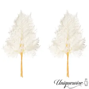 360 stand 17" Real Alpine Fern Leaves with Stems (2 White Bunches) - Dried Decorative Leaf Farmhouse Decor, Vase Arrangement Props, Home Ornaments