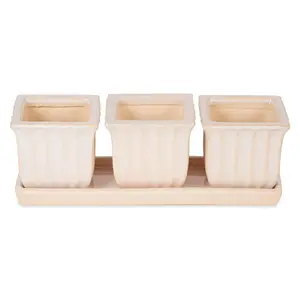 Zingz & Thingz Set of 3 Small Ceramic Herb Planters