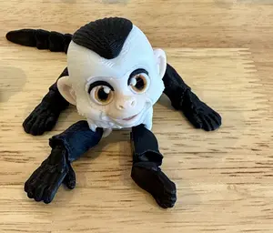 Cute Capuchin Monkey