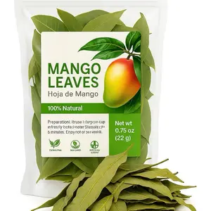 Mango Leaves Premium Hoja de Mango Herbal Tea Bag – Supports Digestion & Provides Antioxidant Properties – Naturally Caffeine-Free Beverage