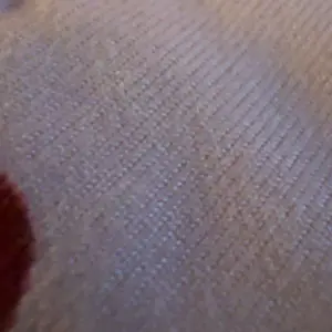 Liquid Ass Spray - Authentic Fart Prank Spray with Realistic Odor for Lasting Humor - Non-Staining & Portable - Made in USA