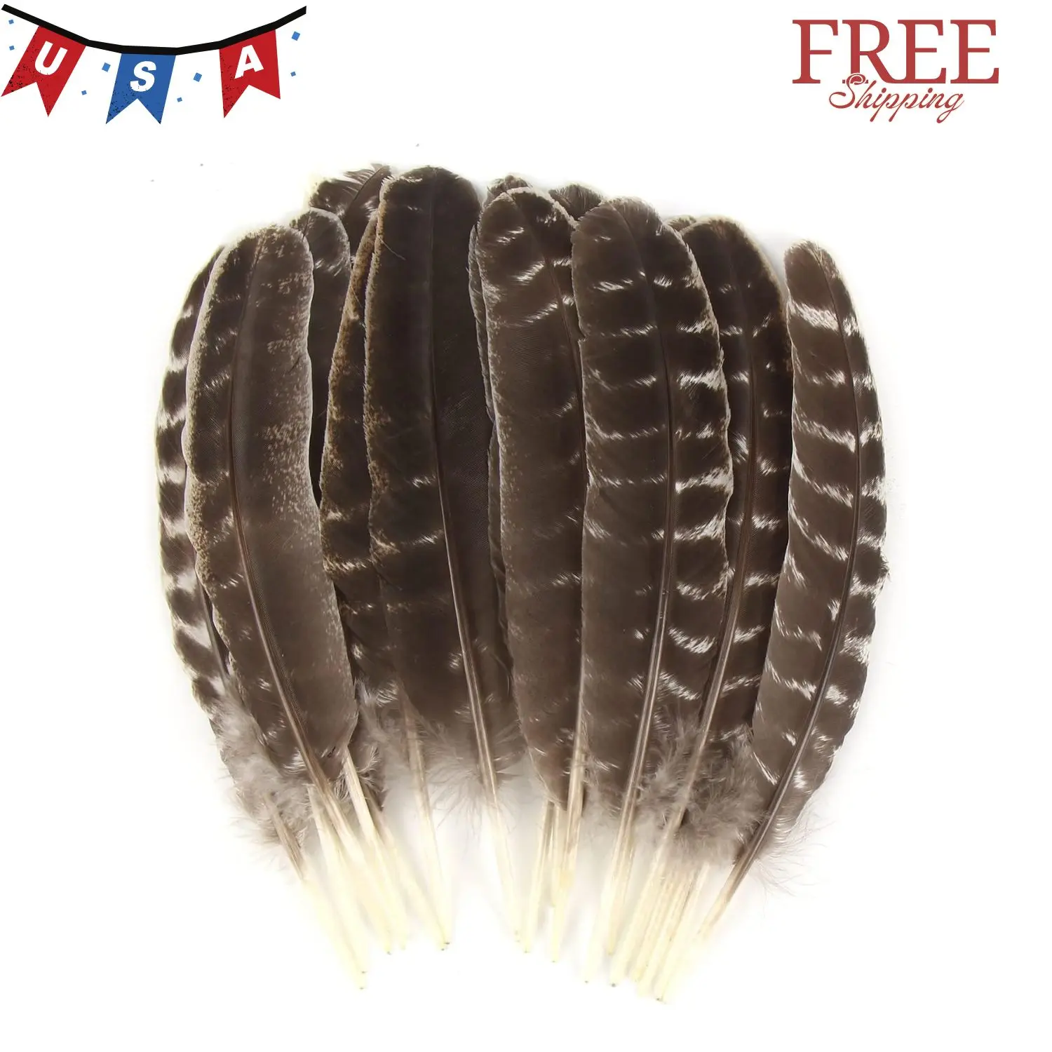 15pcs Natural Turkey Feather, 10-11 Inches Wild Turkey Feathers