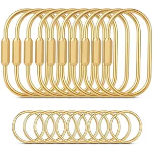 Gold Brass Key Rings, 10 Pack Keychain with 10 Flat Rings Carabiner Clip, Screw Lock Keys Organizer, Purse Bag Accessories Charms Holder for Handbags, Doll, Car Keys