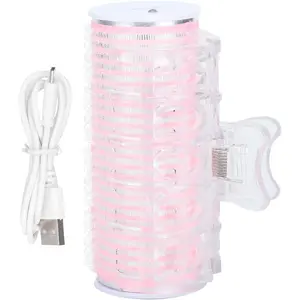 Electric Hair Roller, USB Portable Hair Roller for Bangs Curling Hair Styling Tool, Mini Electric Hair Curler DIY Hairdressing Tool, 3.4x1.2in, ABS, Pink