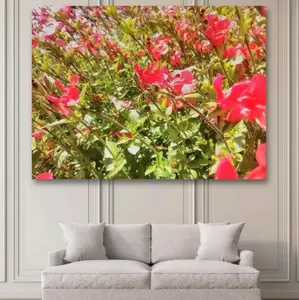 Original Photo Name 'Bedside Surprise' 11x17 Print Cardstock Glossy White Paper